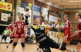 TV Nellingen - BSV Sachsen Zwickau