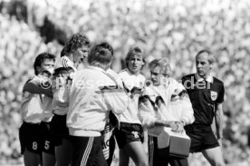 14.06.88 Deutschland - D&auml;nemark