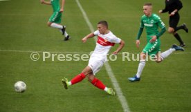 U19 VfB Stuttgart - U17 SpVgg Greuther Fürth