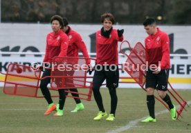 VfB Stuttgart Training
