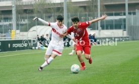 29.03.25 U17 VfB Stuttgart - U17 1. FC Köln