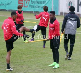 VfB Stuttgart Training