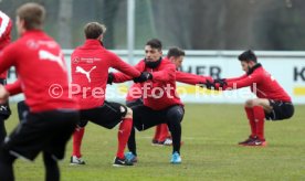 VfB Stuttgart Training