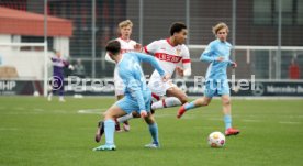 15.02.25 U19 VfB Stuttgart - U19 TSV 1860 M&uuml;nchen