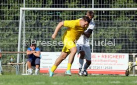 23.08.26 TSV Ph&ouml;nix Steinsfurt - SV Tiefenbach