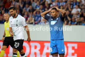 TSG 1899 Hoffenheim - FC Liverpool