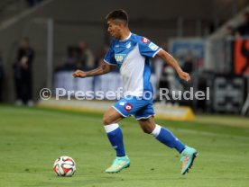 TSG 1899 Hoffenheim