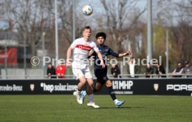 09.03.24 U19 VfB Stuttgart - U19 1. FSV Mainz 05