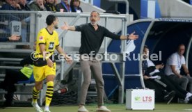 29.09.23 TSG 1899 Hoffenheim - Borussia Dortmund