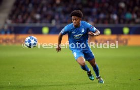 TSG 1899 Hoffenheim - Olympique Lyon