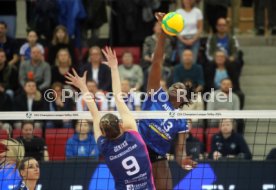 10.01.24 Allianz MTV Stuttgart - PGE Rysice Rzeszow