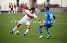 U17 VfB Stuttgart - U17 TSG 1899 Hoffenheim