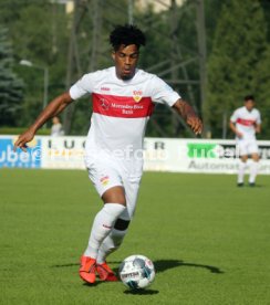 FC Wacker Innsbruck - VfB Stuttgart
