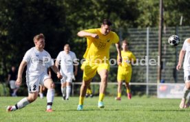 23.08.26 TSV Ph&ouml;nix Steinsfurt - SV Tiefenbach
