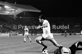 VfB Stuttgart - Cosmos New York