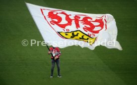 11.11.23 VfB Stuttgart - Borussia Dortmund