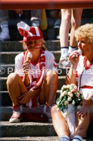 14.06.88 Deutschland - D&auml;nemark