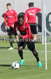 VfB Stuttgart Training