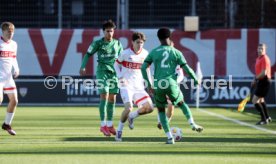 01.02.25 U19 VfB Stuttgart - U19 Borussia Mönchengladbach