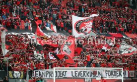 Bayer 04 Leverkusen - VfB Stuttgart