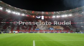 29.01.25 VfB Stuttgart - Paris St. Germain