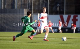 01.02.25 U19 VfB Stuttgart - U19 Borussia M&ouml;nchengladbach