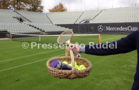 Tennis MercedesCup