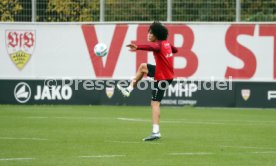 12.11.24 VfB Stuttgart Training