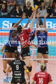 Allianz MTV Stuttgart - Dresdner SC