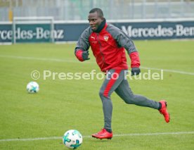 VfB Stuttgart Training
