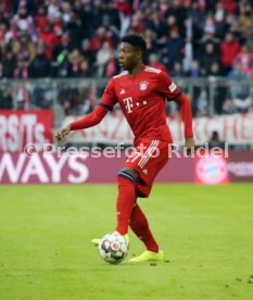 FC Bayern M&uuml;nchen - VfB Stuttgart