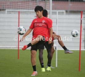 VfB Stuttgart Training
