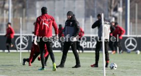 VfB Stuttgart Training
