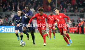 FC Bayern M&uuml;nchen - Tottenham Hotspurs