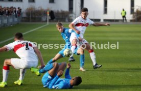 U17 VfB Stuttgart - U17 TSG 1899 Hoffenheim
