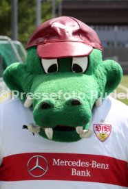 VfB Stuttgart Fototermin Saison 2017/2018