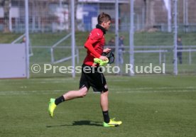 VfB Stuttgart Training