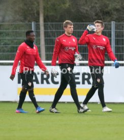VfB Stuttgart Training