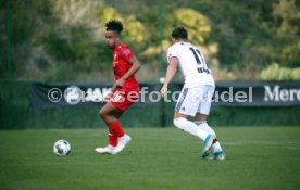VfB Stuttgart - FC Basel