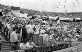 DFB-Pokal Finale 1987 Hamburger SV - Stuttgarter Kickers