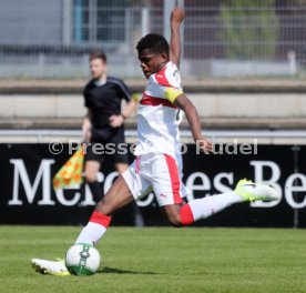 U 17 VfB Stuttgart - U19 1. FC Kaiserslautern