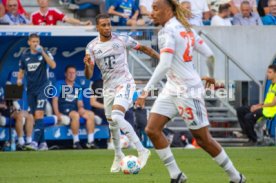 20.09.25 TSG 1899 Hoffenheim - FC Bayern M&uuml;nchen