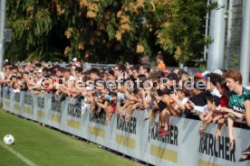 03.10.23 VfB Stuttgart Training