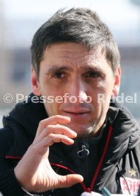 VfB Stuttgart Training