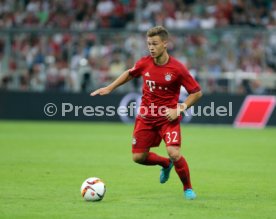 Audi Cup 2015