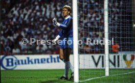 25.05.88 PSV Eindhoven - Benfica Lissabon