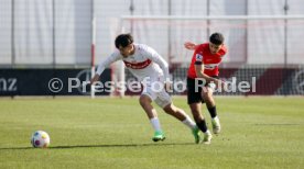 03.03.24 VfB Stuttgart II - TSG Balingen