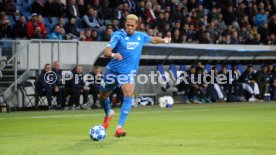 TSG 1899 Hoffenheim - Manchester City