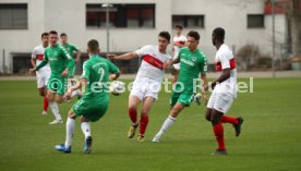 U19 VfB Stuttgart - U17 SpVgg Greuther F&uuml;rth