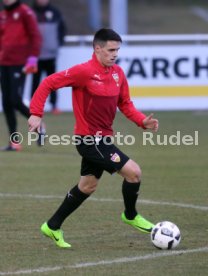 VfB Stuttgart Training